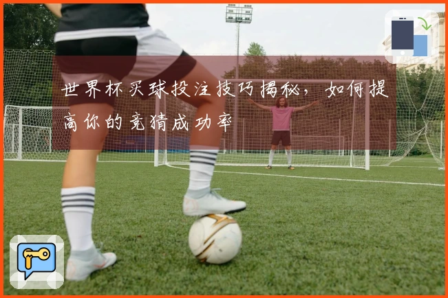 世界杯买球投注技巧揭秘，如何提高你的竞猜成功率