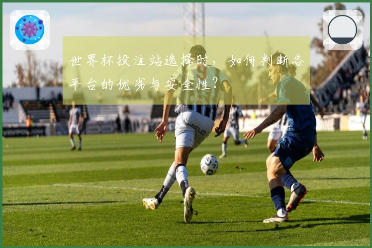 世界杯投注站选择时，如何判断各平台的优劣与安全性？