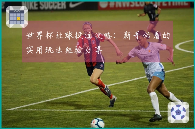 世界杯让球投注攻略：新手必看的实用玩法经验分享