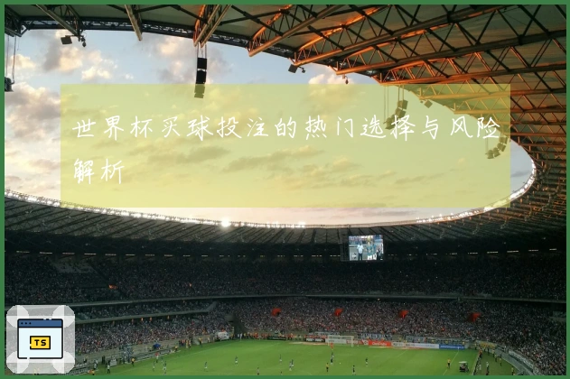 世界杯买球投注的热门选择与风险解析