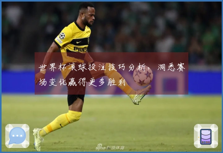 世界杯滚球投注技巧分析，洞悉赛场变化赢得更多胜利