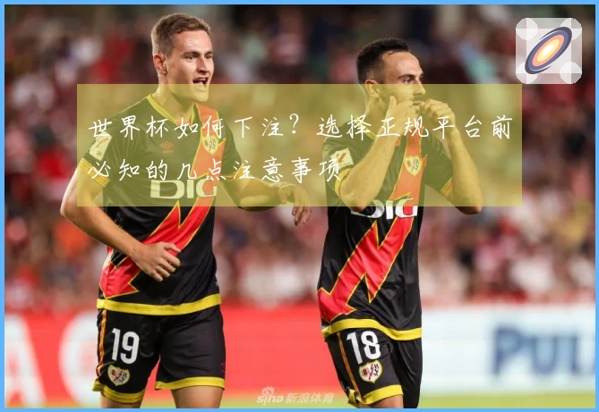 世界杯如何下注？选择正规平台前必知的几点注意事项