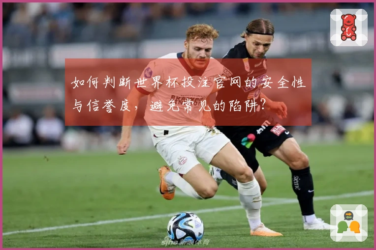 如何判断世界杯投注官网的安全性与信誉度，避免常见的陷阱？