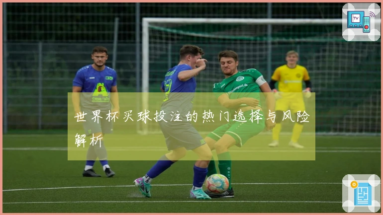 世界杯买球投注的热门选择与风险解析