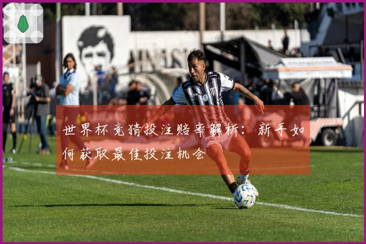 世界杯竞猜投注赔率解析：新手如何获取最佳投注机会