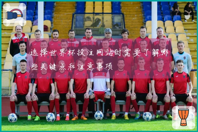选择世界杯投注网站时需要了解哪些关键点和注意事项
