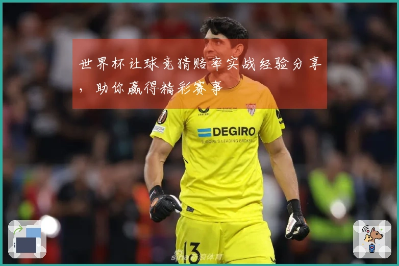 世界杯让球竞猜赔率实战经验分享，助你赢得精彩赛事