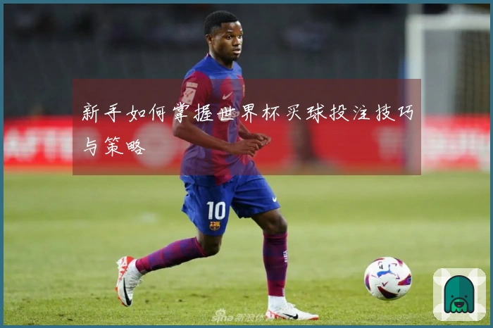 新手如何掌握世界杯买球投注技巧与策略