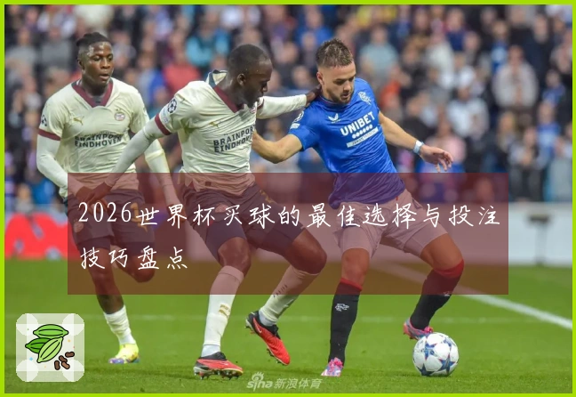 2026世界杯买球的最佳选择与投注技巧盘点