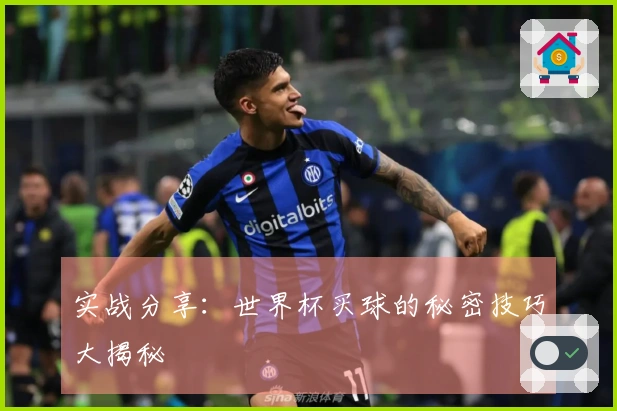 实战分享：世界杯买球的秘密技巧大揭秘