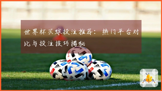 世界杯买球投注推荐：热门平台对比与投注技巧揭秘