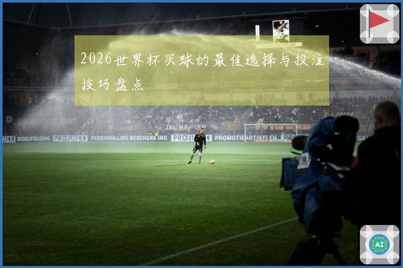 2026世界杯买球的最佳选择与投注技巧盘点