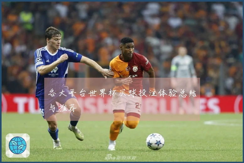 各大平台世界杯买球投注体验总结与推荐