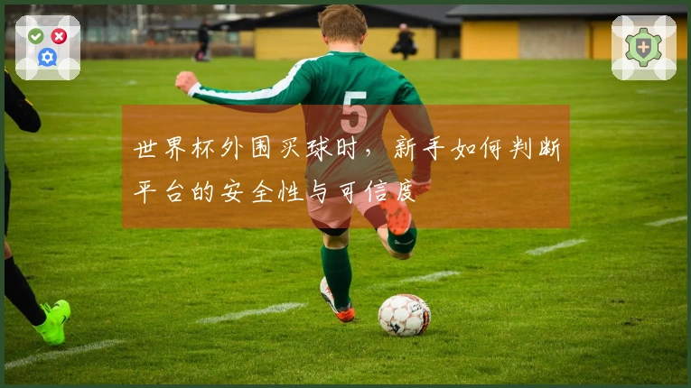 世界杯外围买球时，新手如何判断平台的安全性与可信度