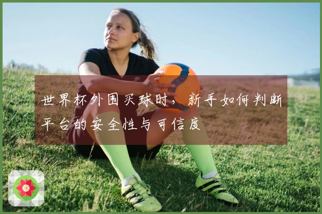 世界杯外围买球时，新手如何判断平台的安全性与可信度