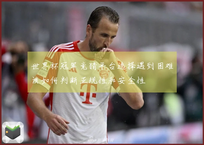 世界杯冠军竞猜平台选择遇到困难该如何判断正规性和安全性