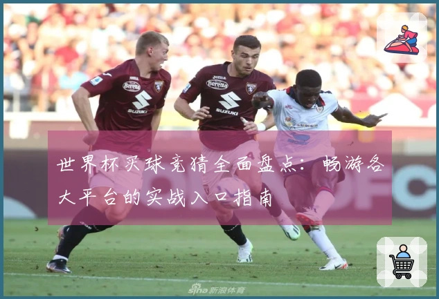 世界杯买球竞猜全面盘点：畅游各大平台的实战入口指南