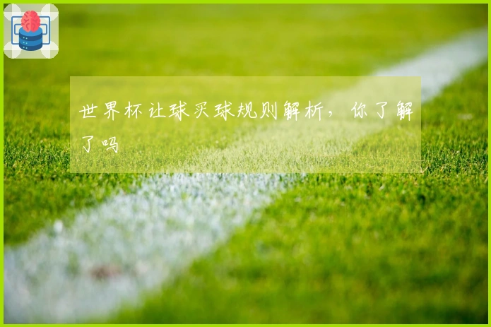 世界杯让球买球规则解析，你了解了吗