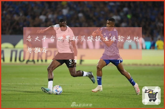 各大平台世界杯买球投注体验总结与推荐