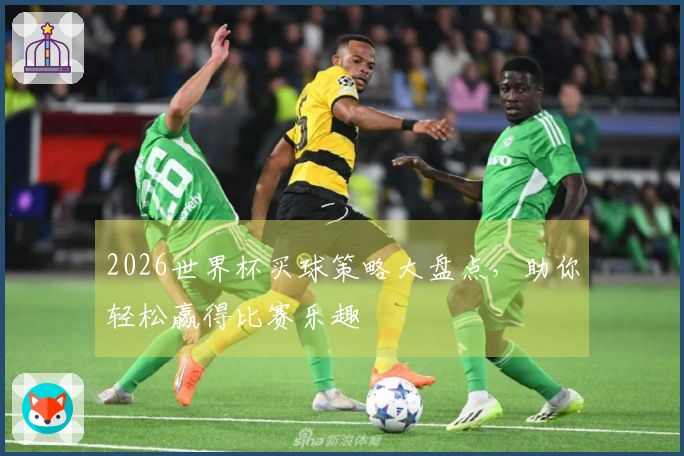 2026世界杯买球策略大盘点，助你轻松赢得比赛乐趣