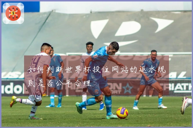 如何判断世界杯投注网站的返水规则是否公平合理
