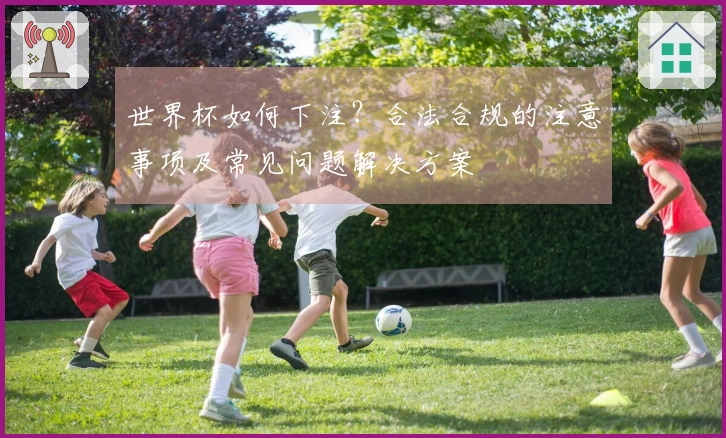 世界杯如何下注？合法合规的注意事项及常见问题解决方案
