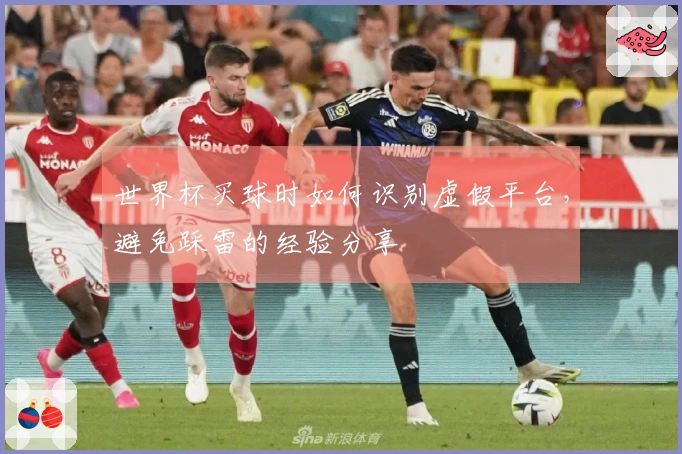 世界杯买球时如何识别虚假平台，避免踩雷的经验分享