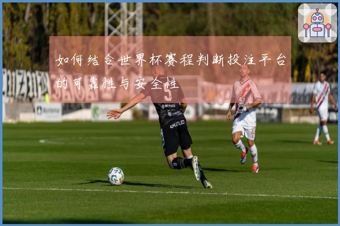 如何结合世界杯赛程判断投注平台的可靠性与安全性