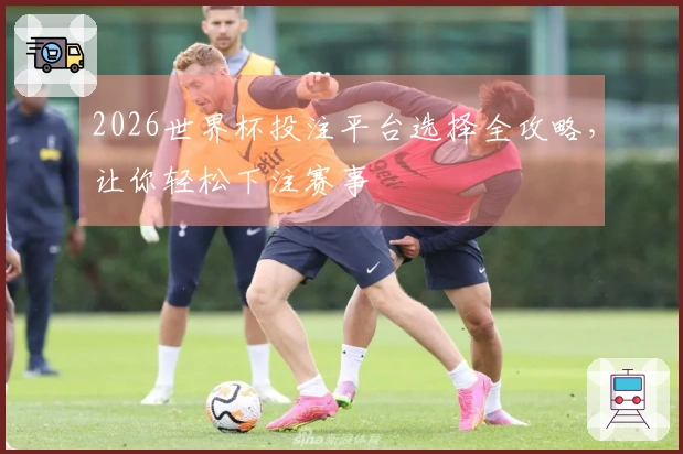 2026世界杯投注平台选择全攻略，让你轻松下注赛事