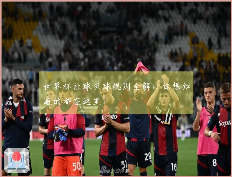 世界杯让球买球规则全解，你想知道的都在这里！