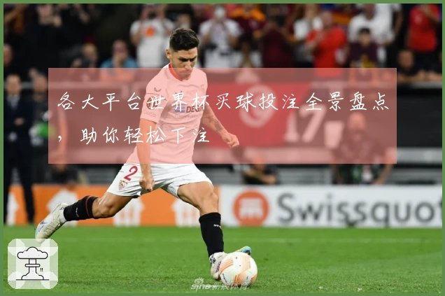 各大平台世界杯买球投注全景盘点，助你轻松下注