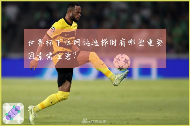世界杯下注网站选择时有哪些重要因素需注意？