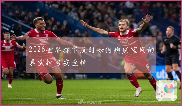 2026世界杯下注时如何辨别官网的真实性与安全性