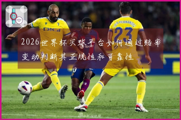2026世界杯买球平台如何通过赔率变动判断其正规性和可靠性