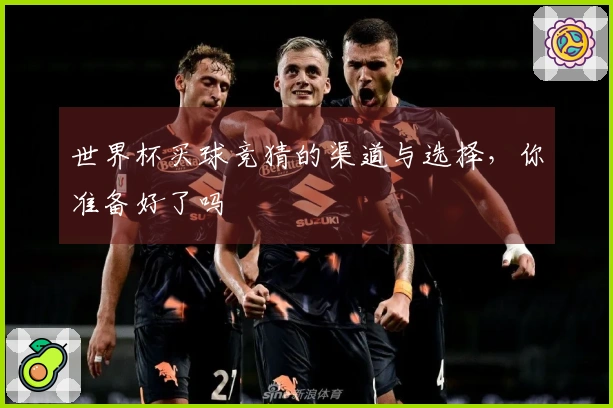 世界杯买球竞猜的渠道与选择，你准备好了吗