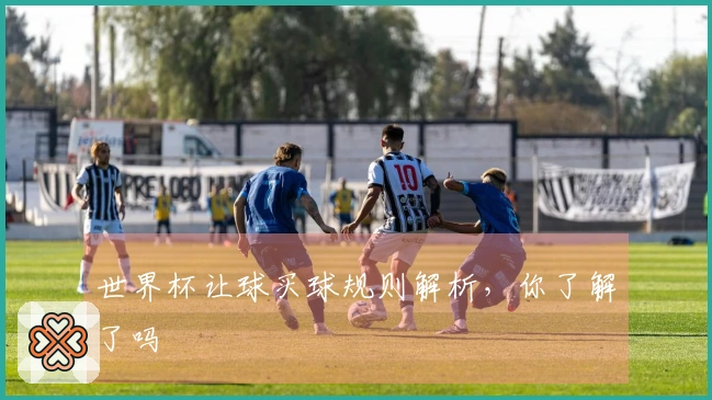 世界杯让球买球规则解析，你了解了吗