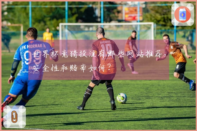 世界杯竞猜投注有哪些网站推荐，安全性和赔率如何？