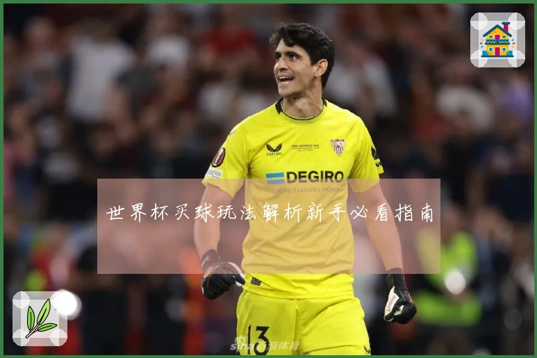 世界杯买球玩法解析新手必看指南