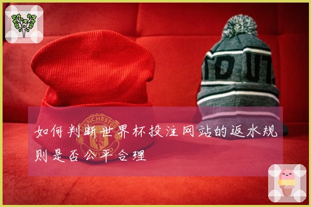 如何判断世界杯投注网站的返水规则是否公平合理