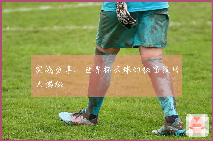 实战分享：世界杯买球的秘密技巧大揭秘