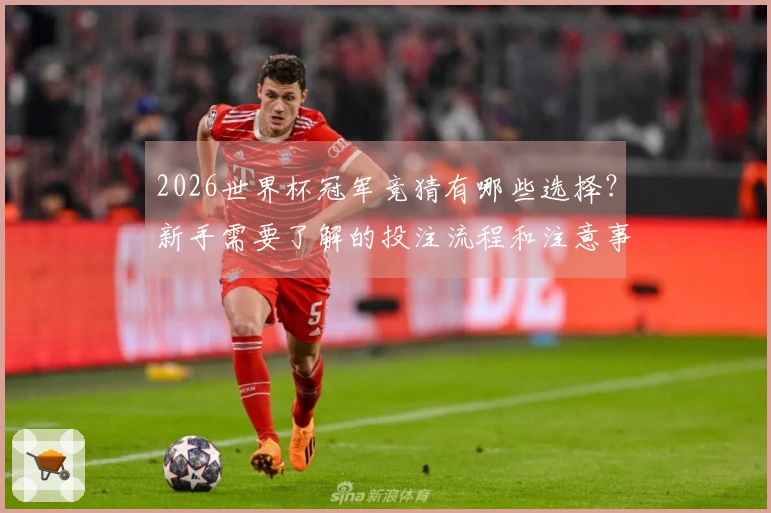 2026世界杯冠军竞猜有哪些选择？新手需要了解的投注流程和注意事项