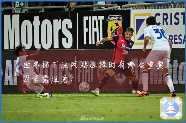 世界杯下注网站选择时有哪些重要因素需注意？