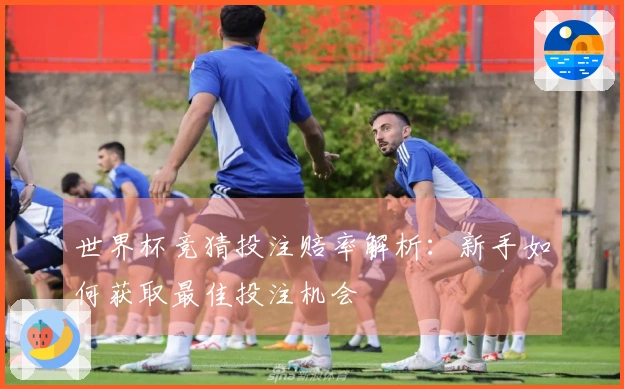 世界杯竞猜投注赔率解析：新手如何获取最佳投注机会