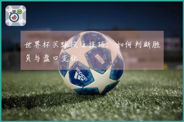 世界杯买球投注技巧：如何判断胜负与盘口变化