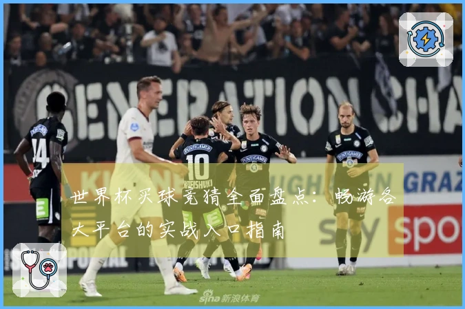 世界杯买球竞猜全面盘点：畅游各大平台的实战入口指南